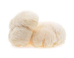 Lion's mane