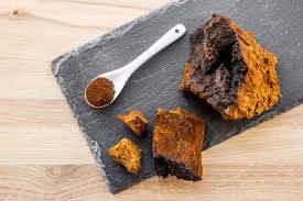 meilleur chaga