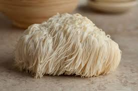 bienfaits du lion's mane
