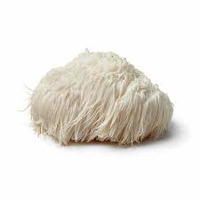 Lion's mane pour la libido