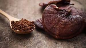 bienfaits du reishi