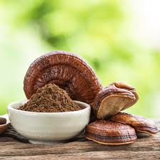 meilleur reishi
