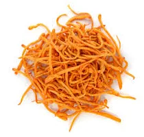 Cordyceps