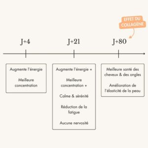 bienfait Foocus start