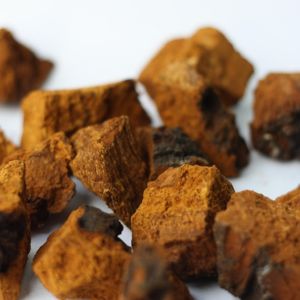 Chaga sommeil