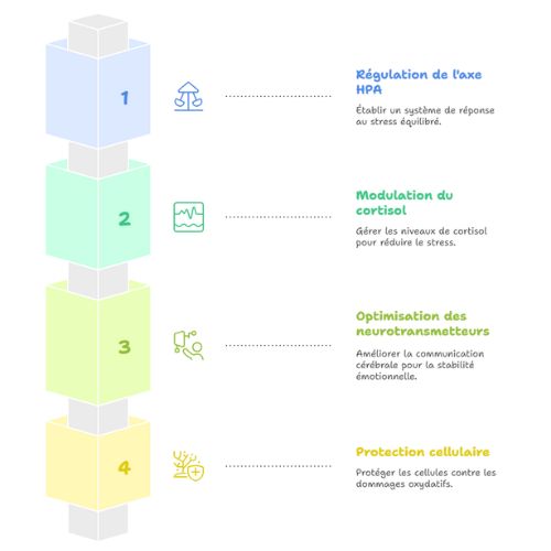 Mécanisme adaptogène
