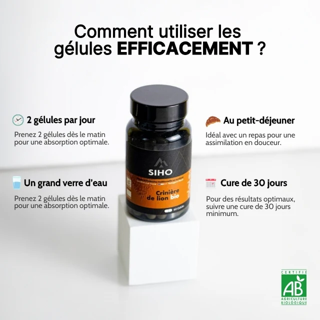 utilisation lion's mane