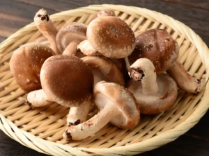 recettes shiitaké