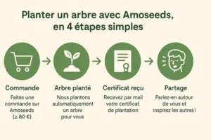 Arbre planté amoseeds