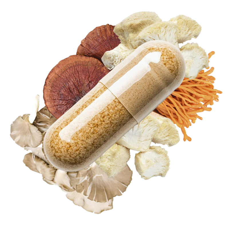 Gélule MushNGo Gélule MushNGo