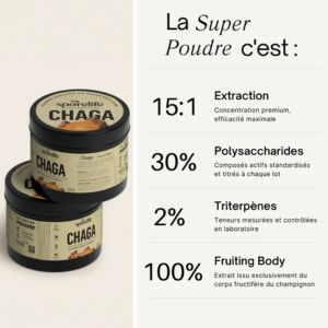 Extraction chaga sporelife
