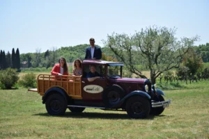 Famille Reynaud