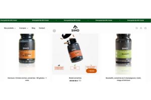 site internet siho