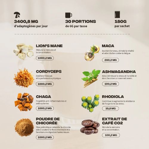Ingrédients Brainstoorm MushNGo