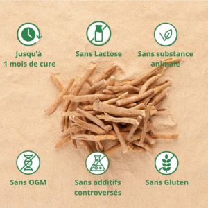 bienfaits ashwagandha argalys