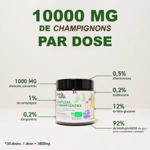 Composants 5 champignons