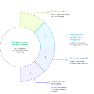 Cordyceps pour le pré-entraînement Cordyceps pour le pré-entraînement