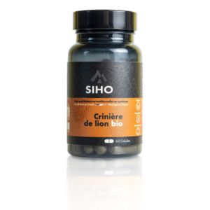 Lion's mane Siho