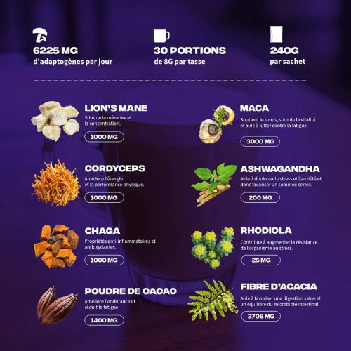 Ingrédients Brainstoorm MushNGo