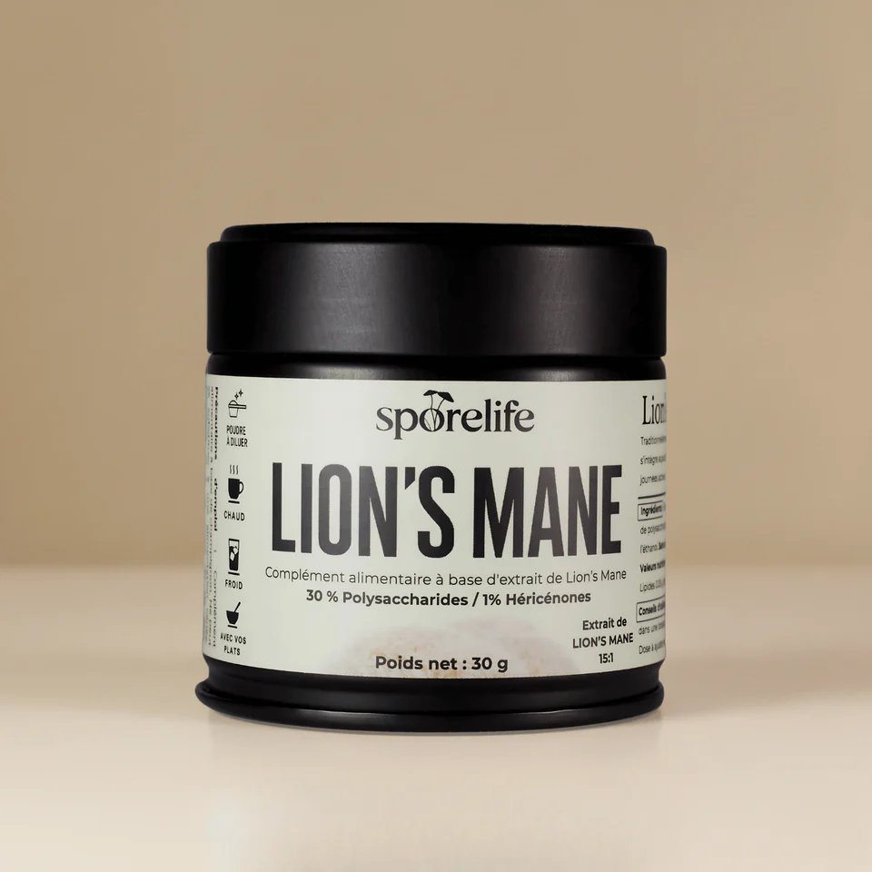 Poudre Lion's mane Sporelife