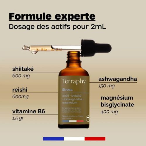 Ingrédients Reishi Terraphy