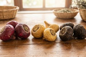 Maca jaune, rouge et noir Maca jaune, rouge et noir