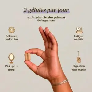 Posologie Chaga French Mush