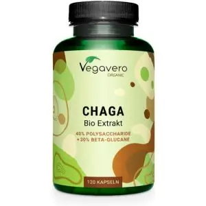 Chaga Végavero