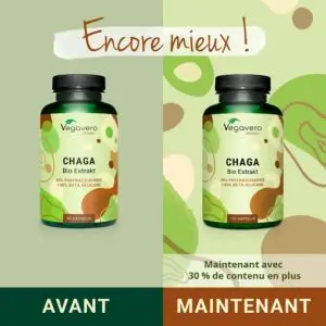 Design Chaga Végavero