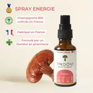 Ingrédients ynoovi