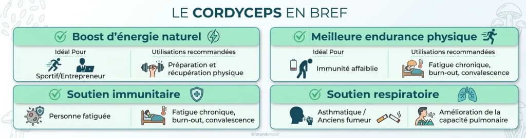 Les bienfaits du cordyceps expliqué en bref