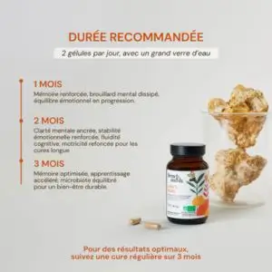 Lion's Mane de French Mush