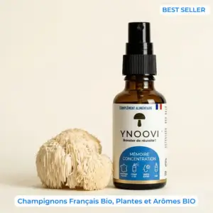 Ynoovi – Spray Mémoire