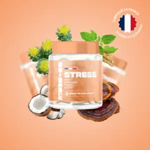 MushNGo – Anti stress au Reishi