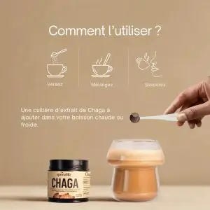Chaga en poudre SporeLife