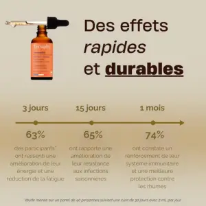 Effets Shiitake Terraphy