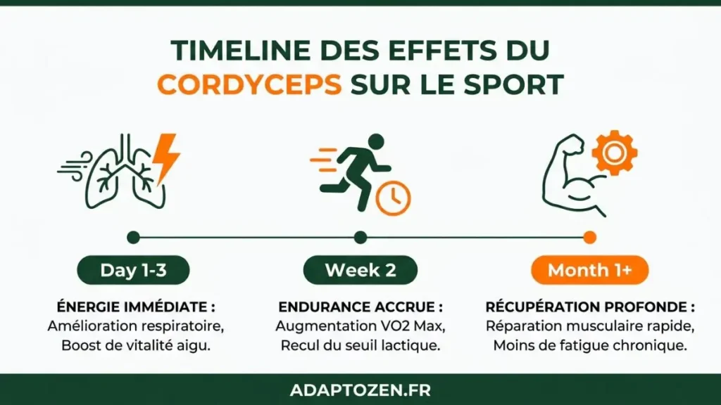 effets du cordyceps sur le sport