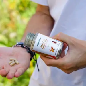 Posologie Maca Nutri&Co