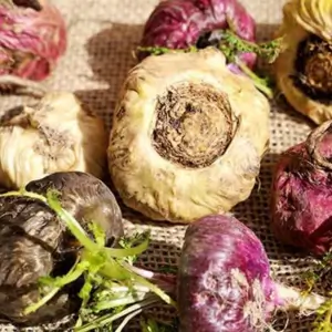 Maca bio Nutri&Co