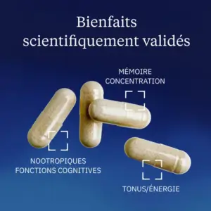 Bienfaits Ginseng Dynveo