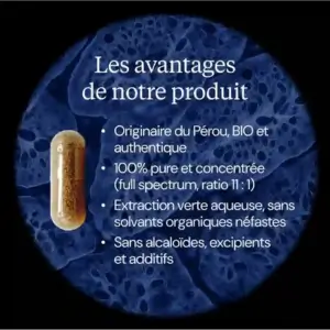 Avantages Maca Dynveo